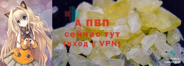 ешки Бородино