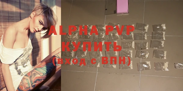 ешки Бородино