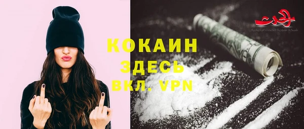 ешки Бородино