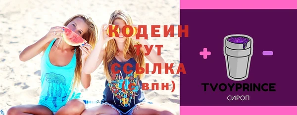 ешки Бородино