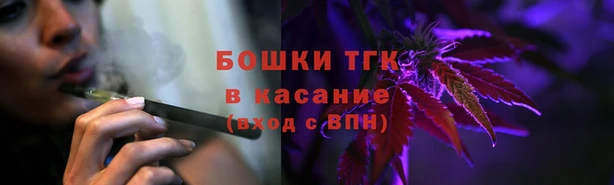 ешки Бородино