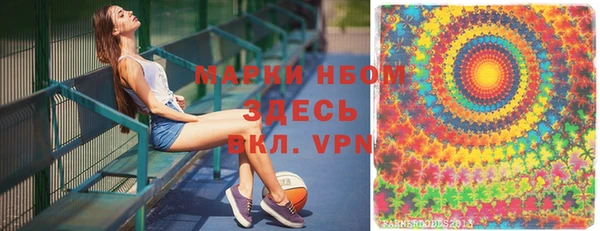 ешки Бородино