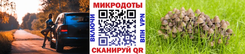 Псилоцибиновые грибы MAGIC MUSHROOMS  где можно купить наркотик  Колпашево 
